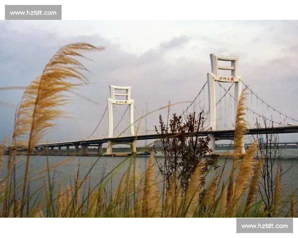 洪州大桥见证万人双向奔赴 南昌夜跑点燃全城热恋